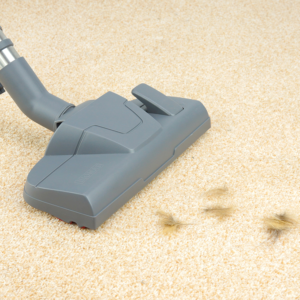 картинка Насадка THOMAS для килиму для прибирання шерсті домашніх тварин з перемикачем (139906) від Інтернет-магазину THOMAS